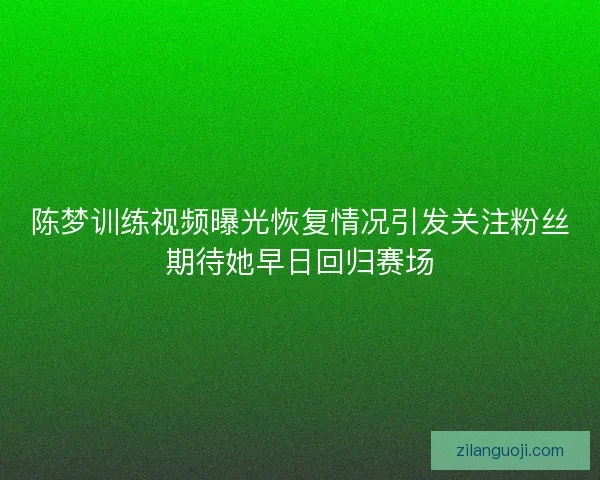 陈梦训练视频曝光恢复情况引发关注粉丝期待她早日回归赛场